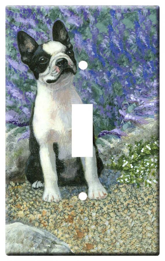 Boston terrier 1b-slsp-M