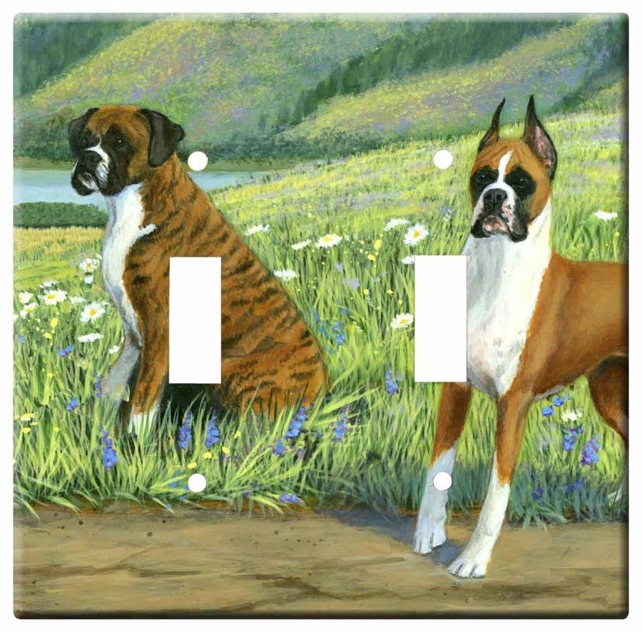Boxer 3a-dlsp-M