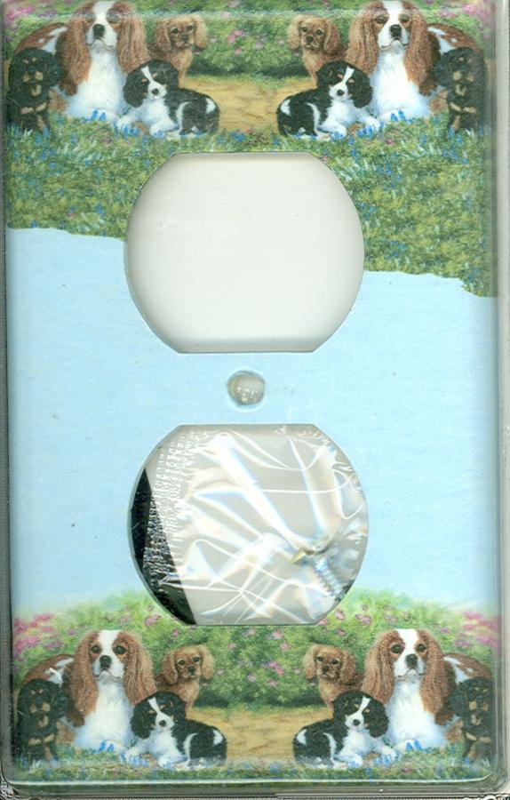 Cavalier 4A outlet-P