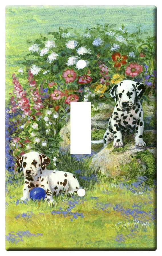 Dalmatian 3b slsp-M