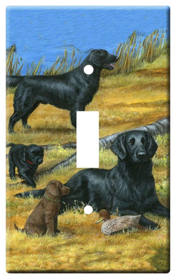 flat coat 1a slsp-M