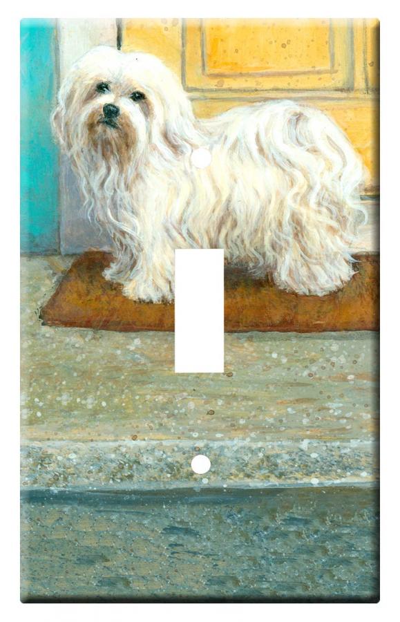 Havanese 3b-slsp-M