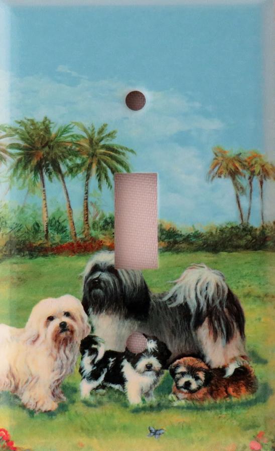 Havanese 4A SLSP-M