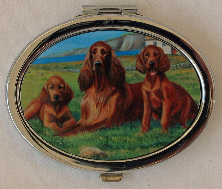 Irish Setter 3 compact