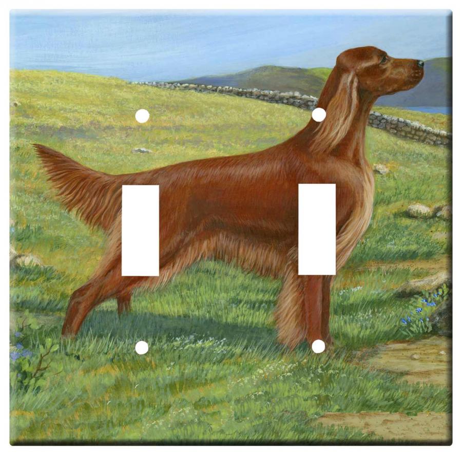 Irish setter 2a dlsp-M