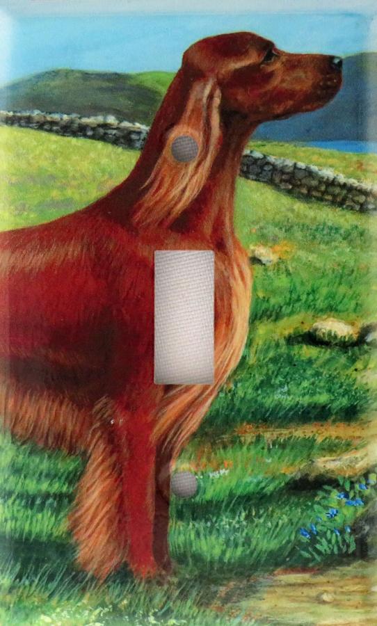 Irish Setter 2A SLSP-M