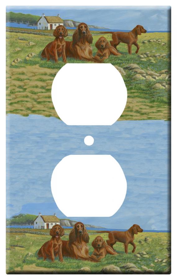 Irish setter 3a otlp-M