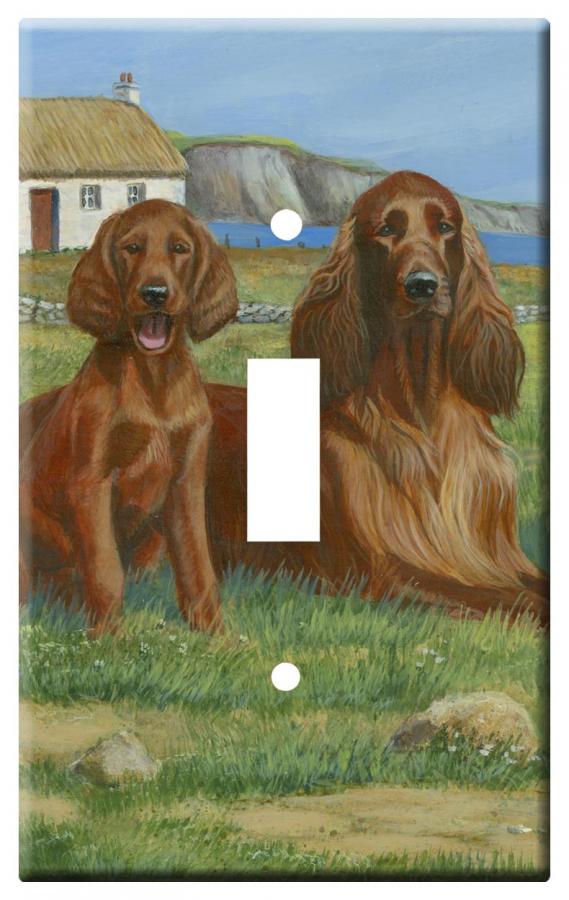 Irish setter 3a slsp-M