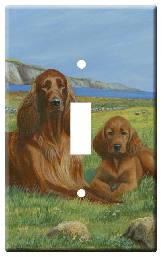 Irish setter 3b slsp-M