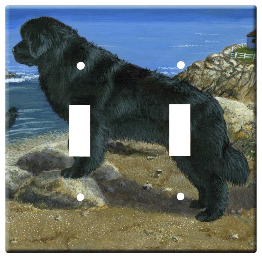 Newfie 4b dlsp-M