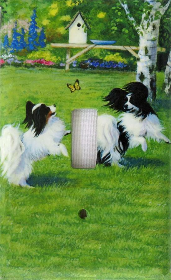 Papillon 3B SLSP-P