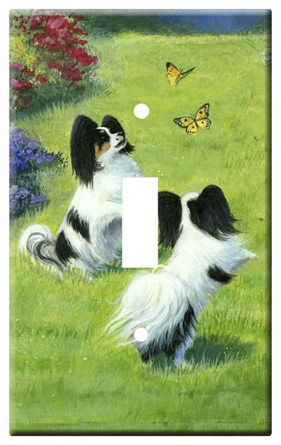 Papillon 4A-SLSP-M