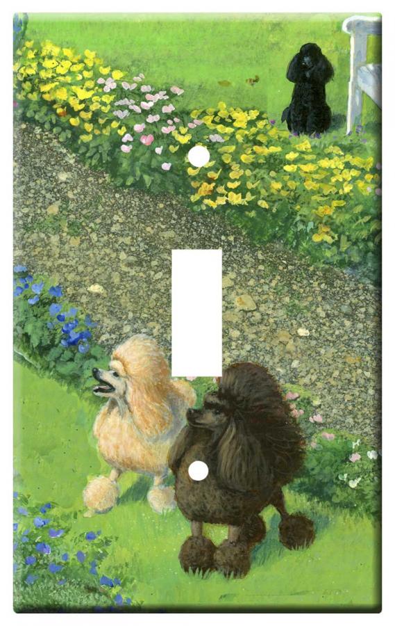 Poodle 3a slsp-M