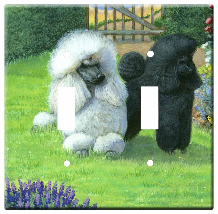 poodle 4a dlsp-M