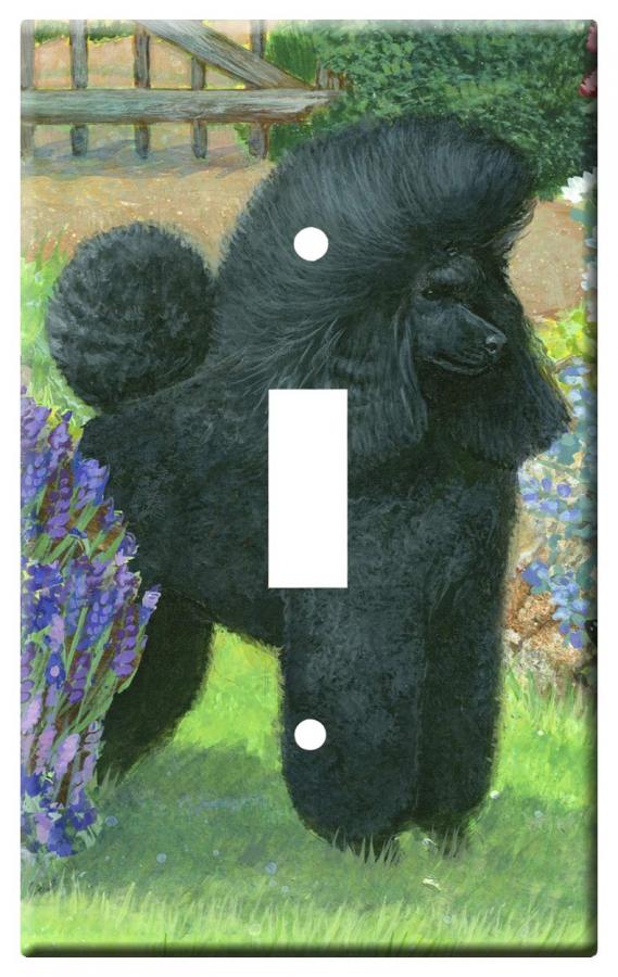 Poodle 4a slsp-M