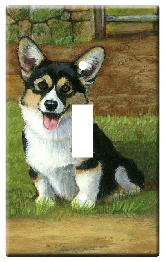 corgi pem 1b slsp-M