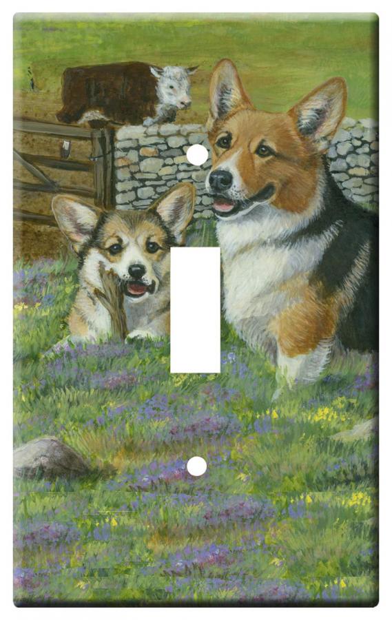 pembroke corgi 3a-slsp-M