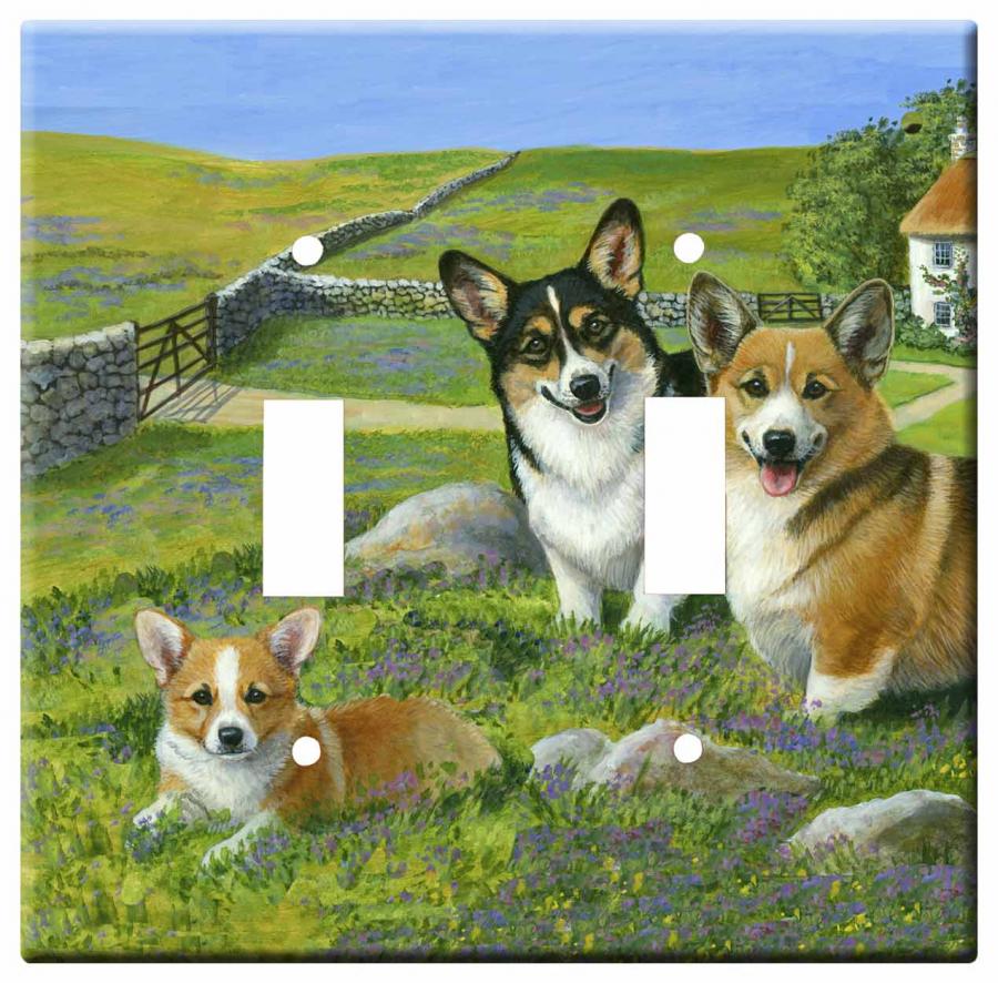 pembroke corgi 4a-dlsp-M