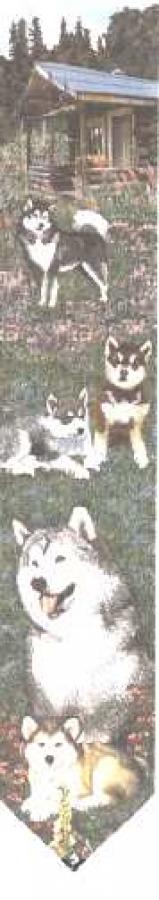 Alaskan Malamute Bell Pull