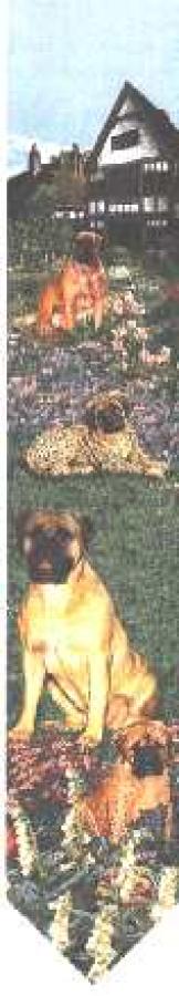 Bullmastiff Tapestry Bell Pull