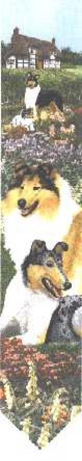 Collie 1 Bell Pull