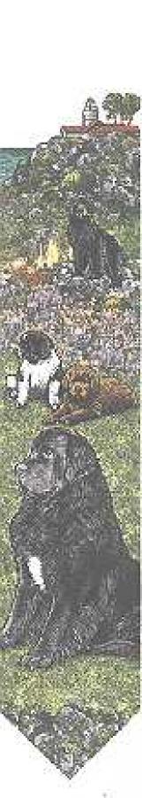 Newfoundland Tapestry Bell Pull