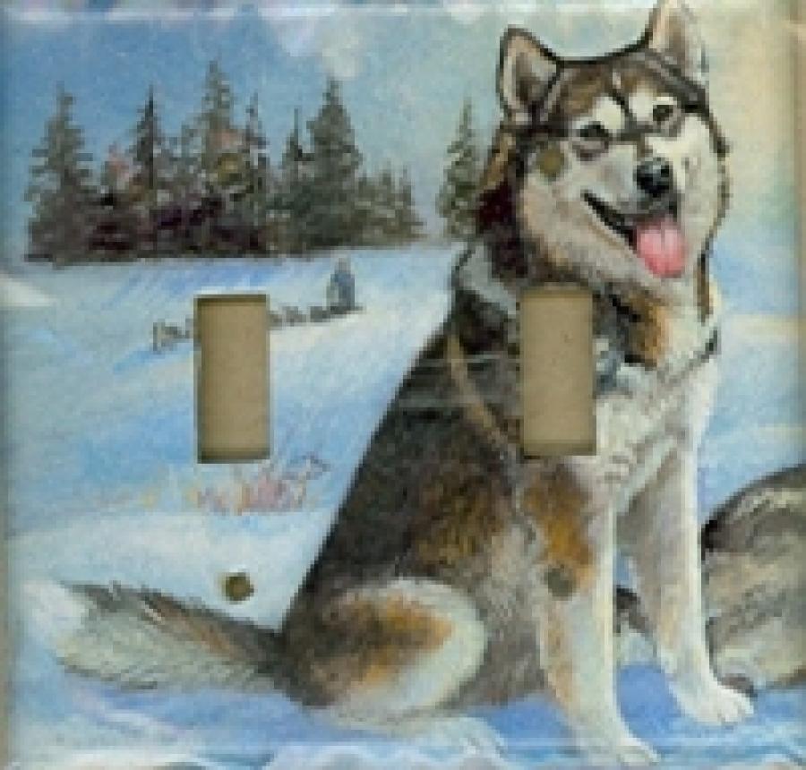 Alaskan Mal 1B DLSP-P