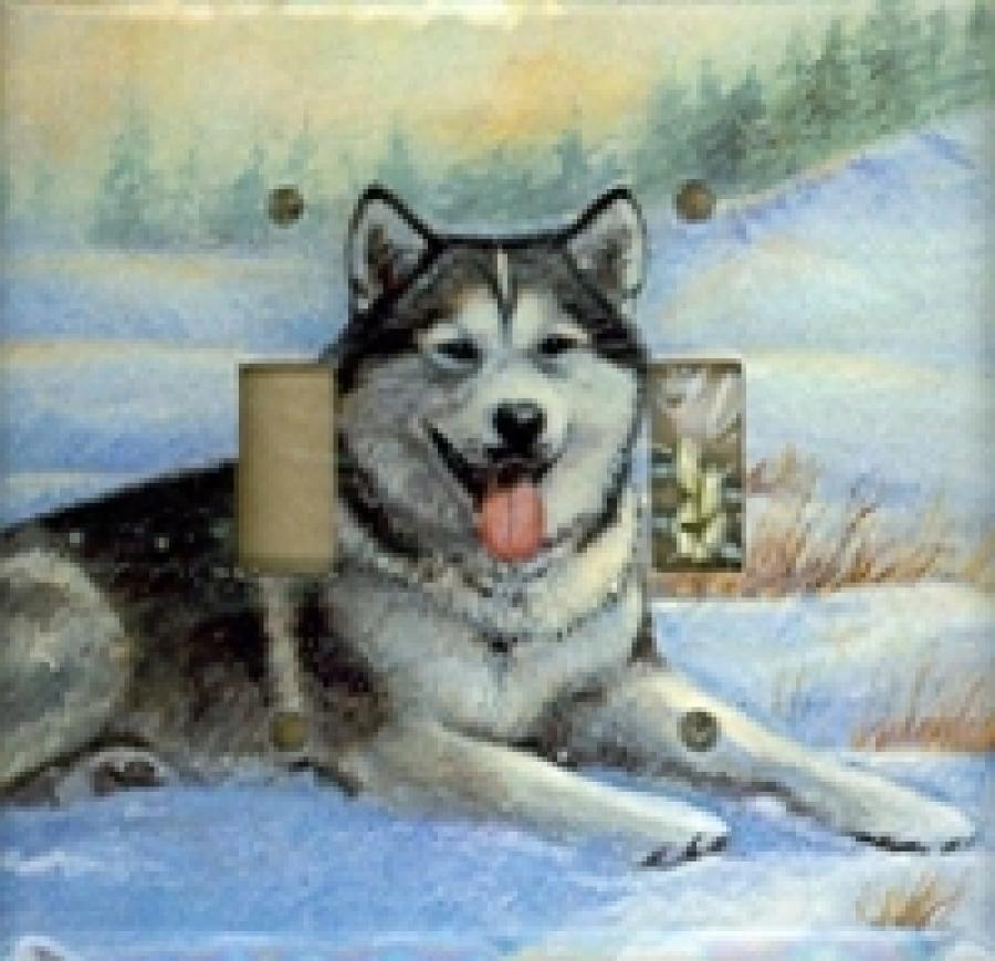 Alaskan Mal 1C DLSP-P