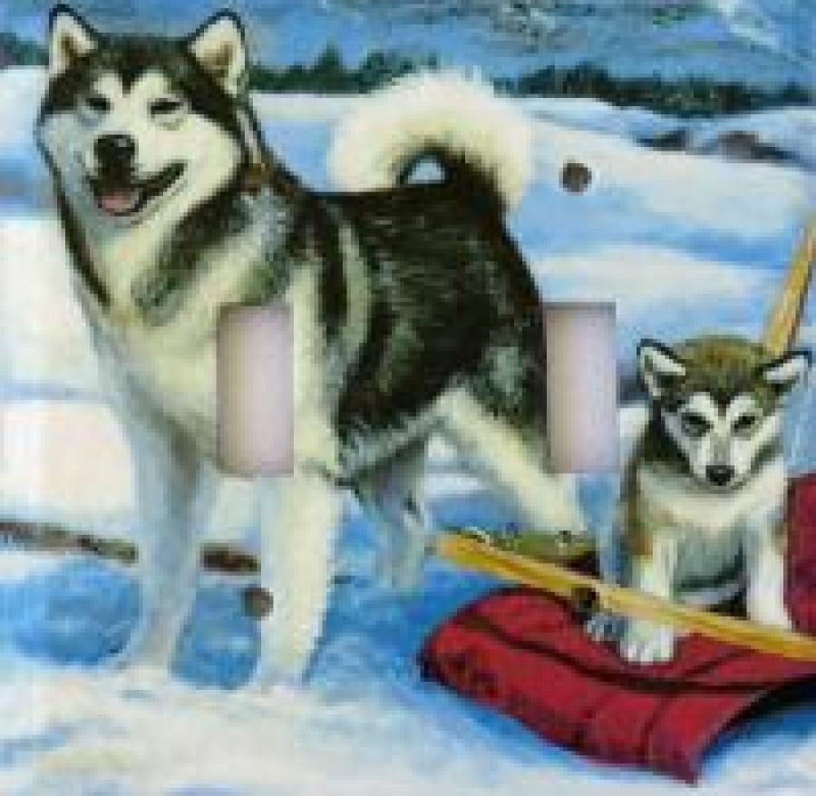 Alaskan Mal 3A DLSP-P