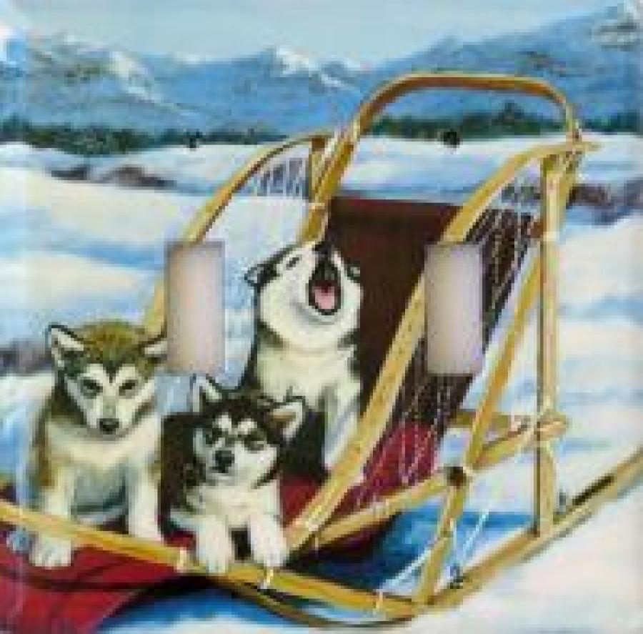 Alaskan Mal 3B DLSP-P