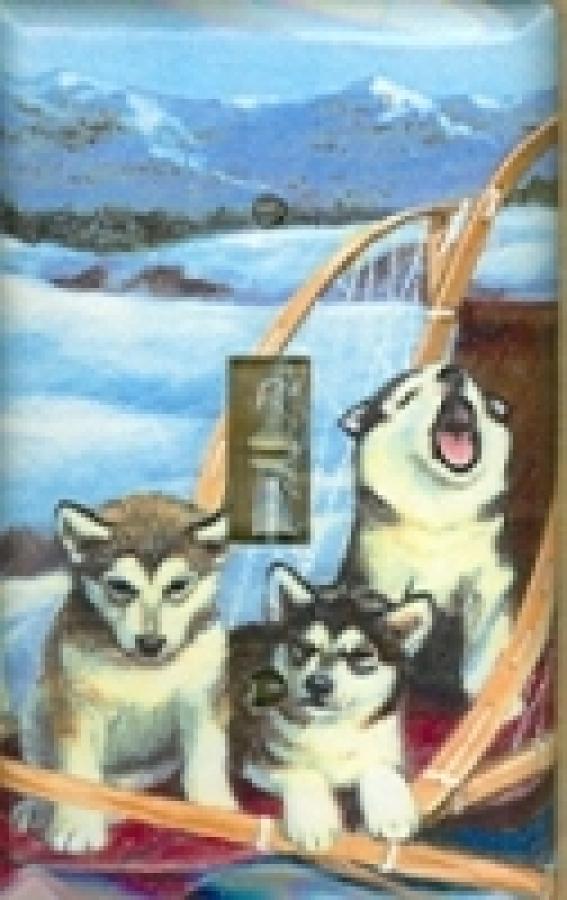 Alaskan Mal 3B SLSP-P