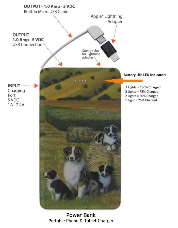 Aussie 4 power bank