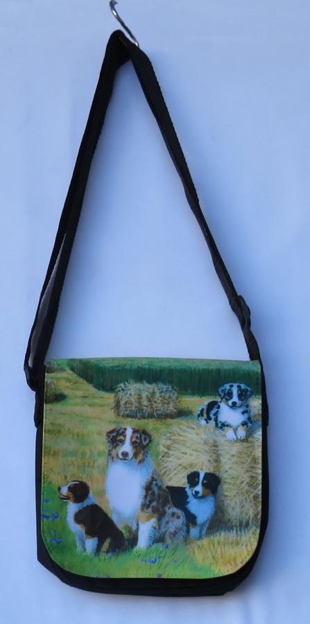 Aussie 4B messenger bag - front