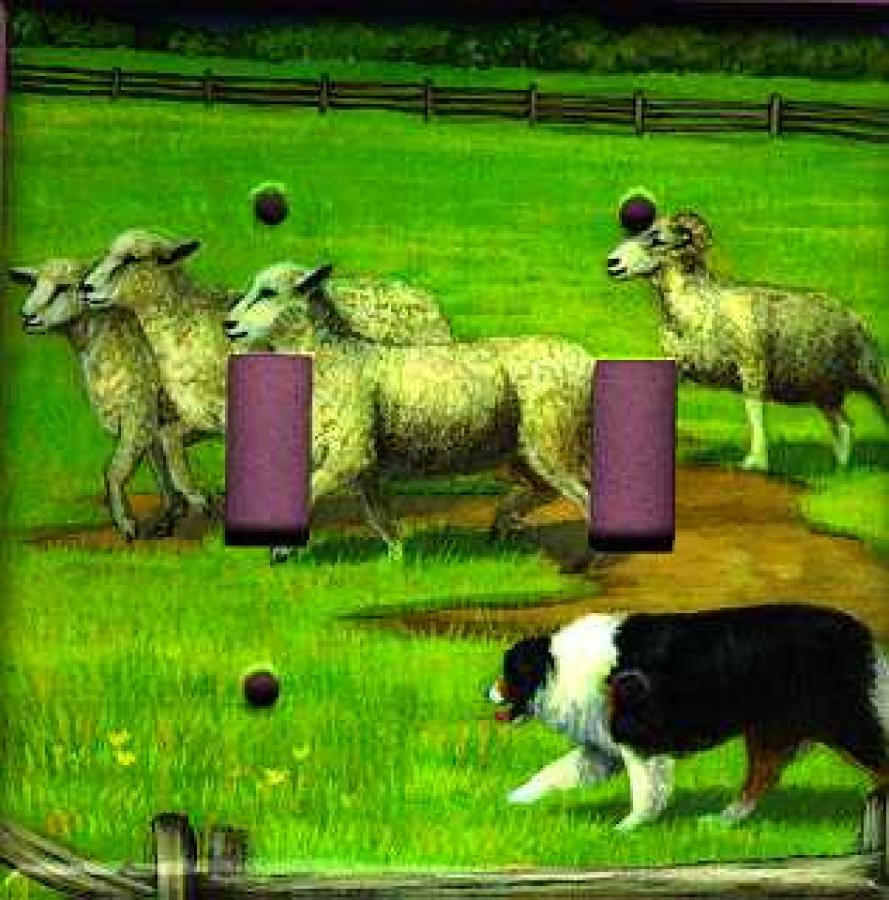 Australian Shepherd 3A Double Light Switch Plate