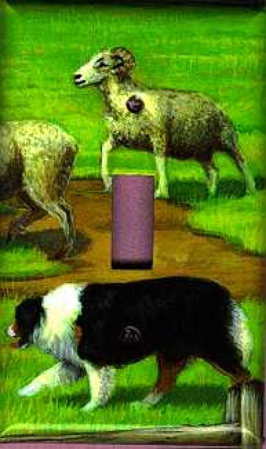 Australian Shepherd 3A Single Light Switch Plate