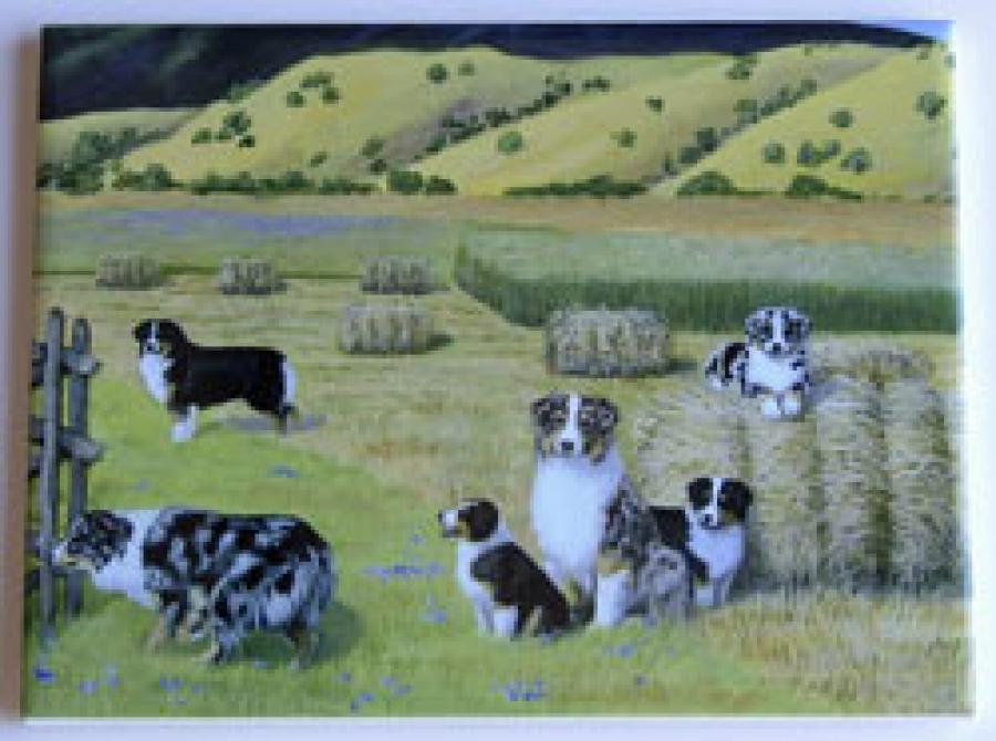 AUSSIE4TILE