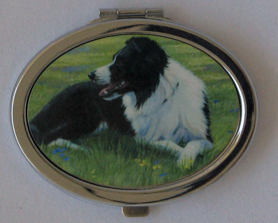 Border Collie 2 compact