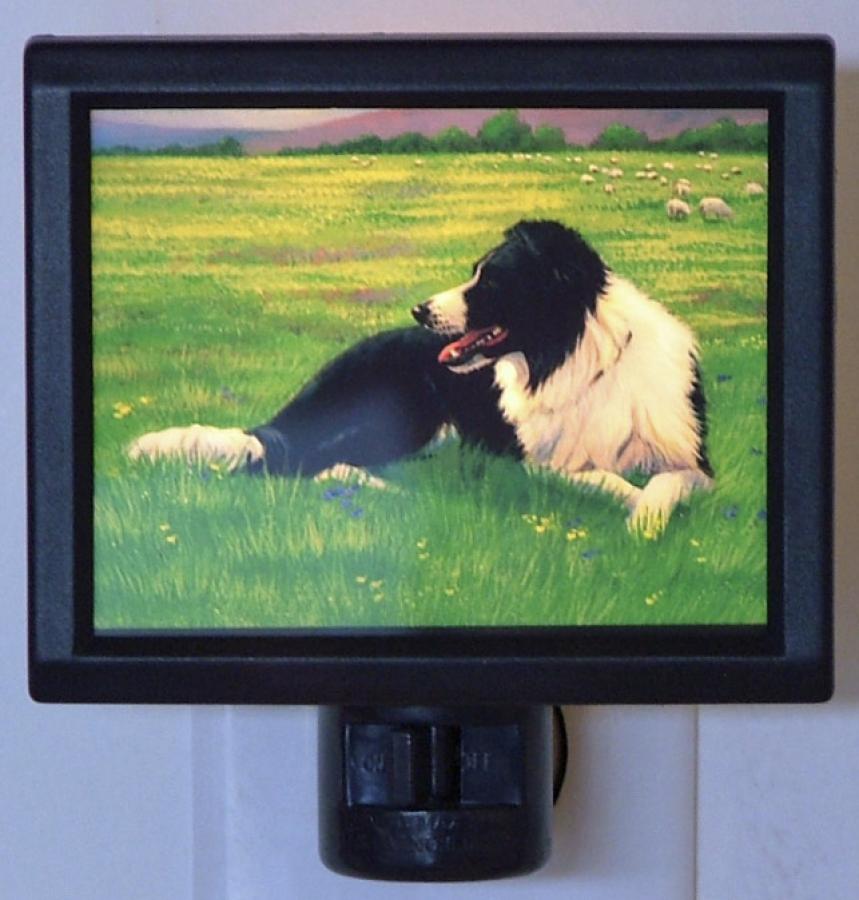 Border Collie Picture Nightlight #2