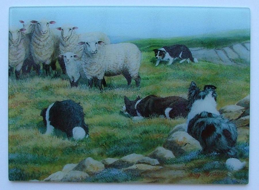 Border Collie cutting board 4
