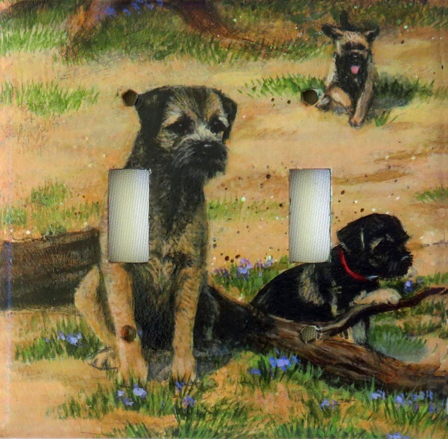 Border Terrier 2A DLSP-P