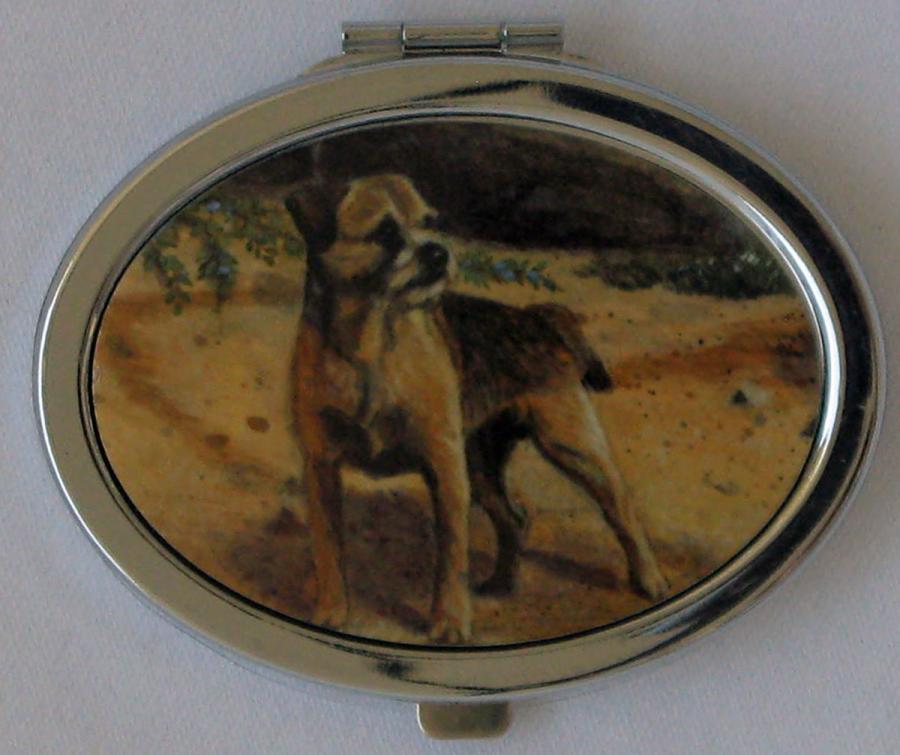 Border Terrier 4B compact
