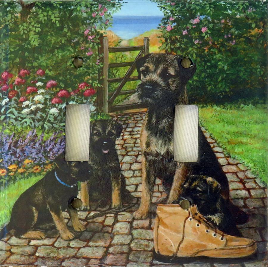 Border Terrier 5A DLSP-P