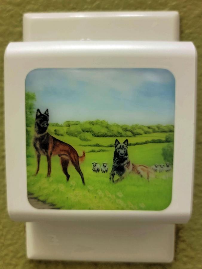 Malinois #2 nightlight-off