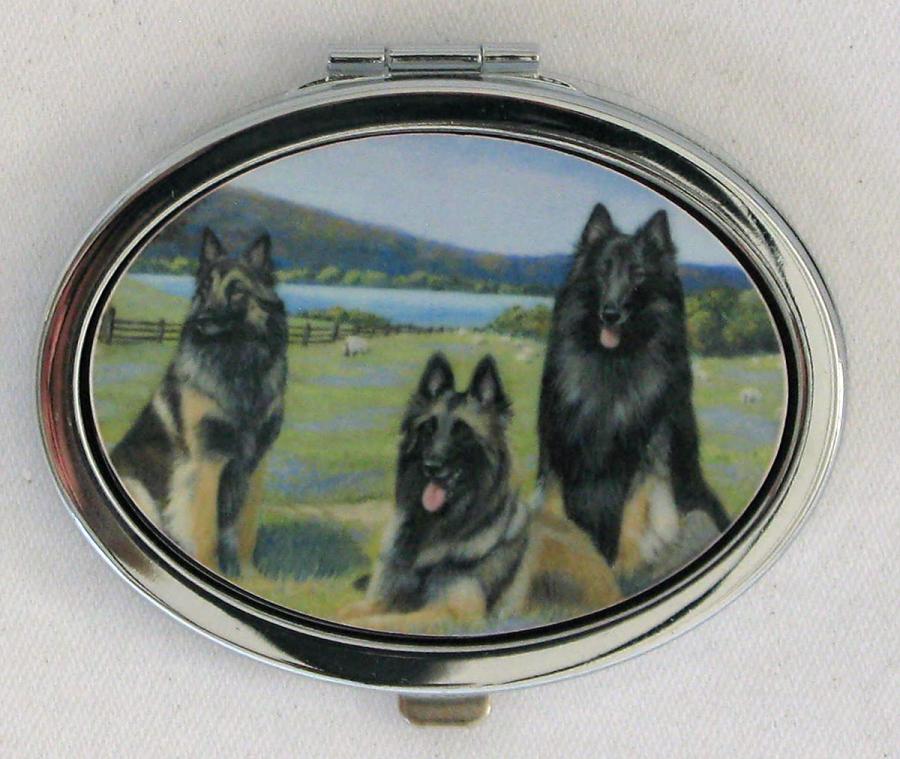 Belgian Terv 1 compact