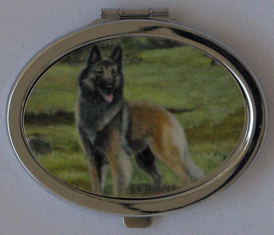 Belgian Terv 2A compact