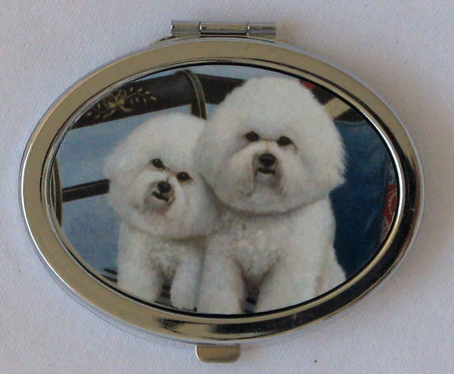 Bichon 1 compact