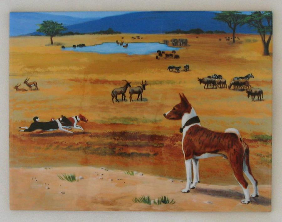 Basenji 2-6x8t