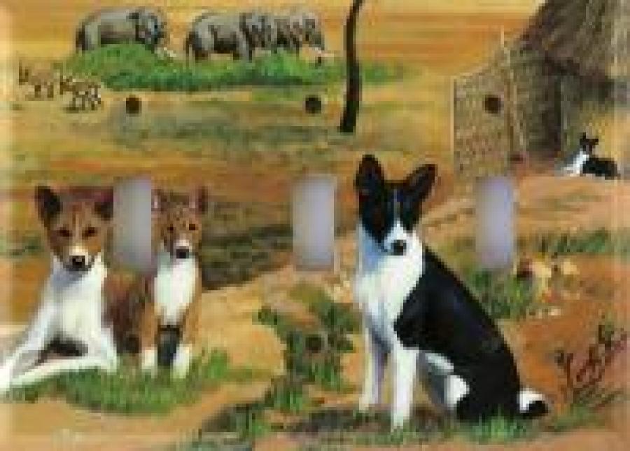 Basenji 3A TLSP-P