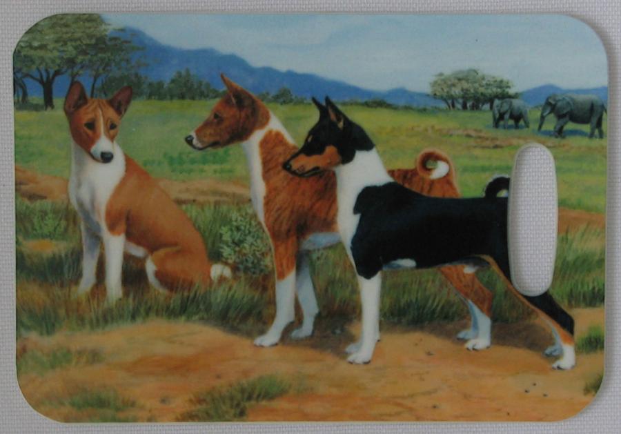 Basenji 4-lt
