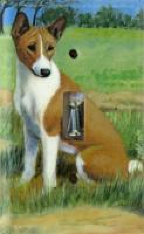 Basenji 4A SLSP-P